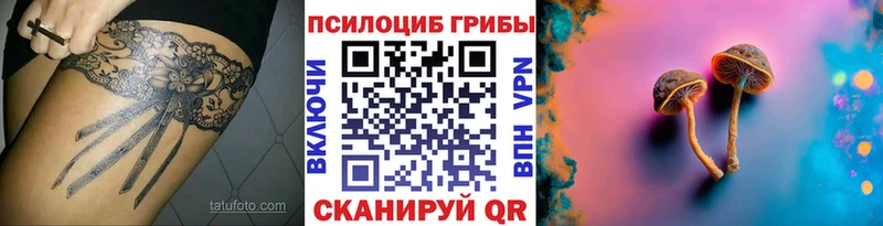 дарнет шоп Рошаль Галлюциногенные грибы Cubensis